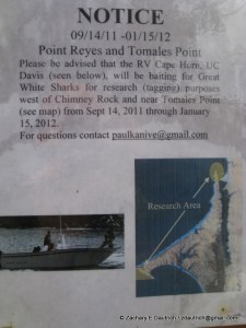 IMG_3460 shark warning sign point reyes national seashore