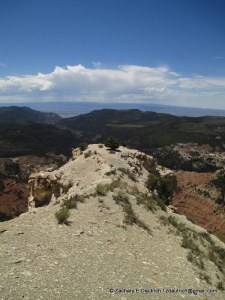 lone pine view over Hunter Canyon / western CO