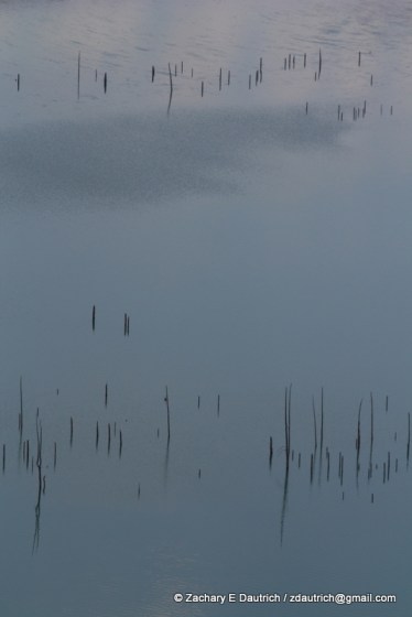 IMG_9711 v1 lake timber lake timber