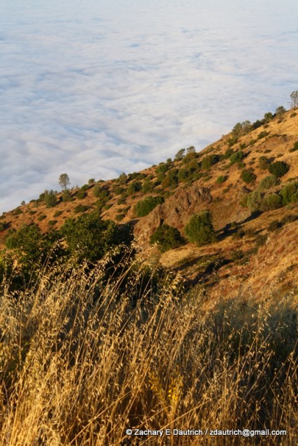 sky camp above the clouds 04 / Los Padres National Forest CA