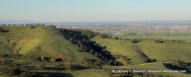 distant wind turbines