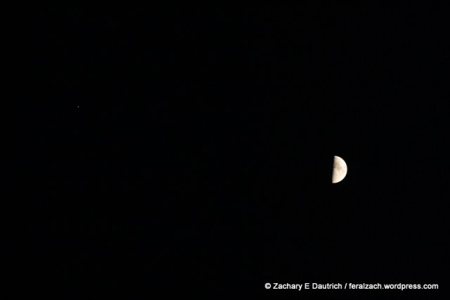quarter moon and jupiter
