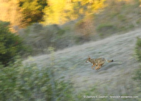 IMG_9072 raw edit v1 5x7