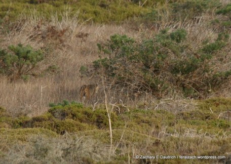 IMG_9109 raw edit v1