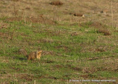 02-IMG_9415 raw edit 1 v1