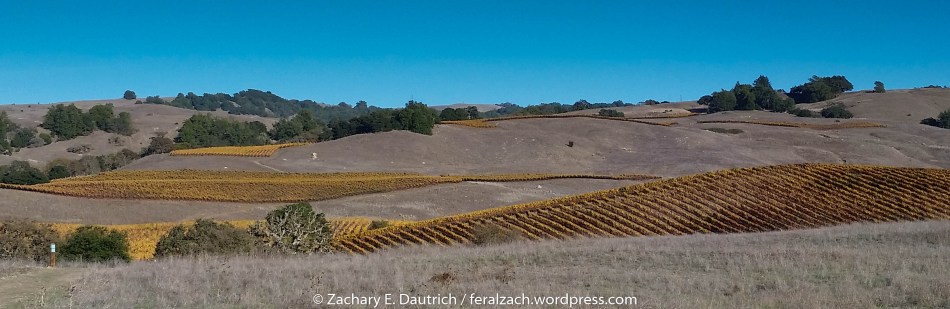 20141109_145548 v1-3